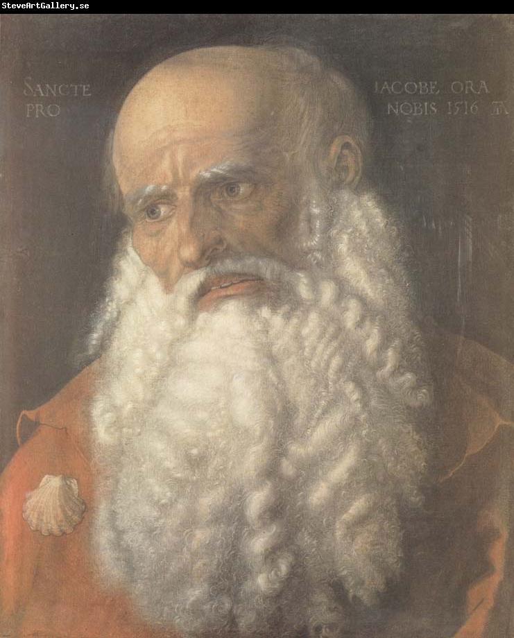 Albrecht Durer Head of the Apostle james